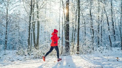 Ob laufen oder spazieren – der stadtnahe Wald befriedigt viele Bedürfnisse.