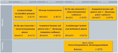 Unterricht & Beratung HAFL Minors